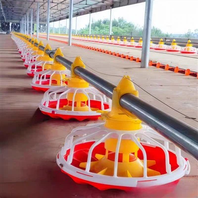 Os bebedouros tipo nipple da Broiler melhoram o comportamento de ingestão de ...